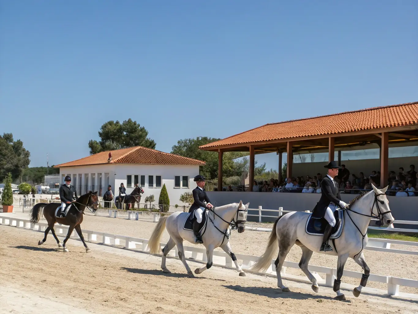A vibrant image depicting a group of riders participating in a dressage training session at OH GAL' EAUX, showcasing precision and teamwork.