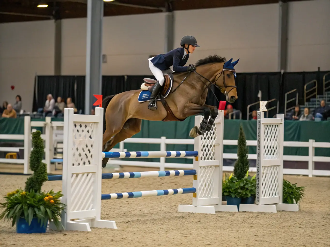 A photograph of a horse jumping over an obstacle during a training session, highlighting the association's focus on developing advanced riding skills.